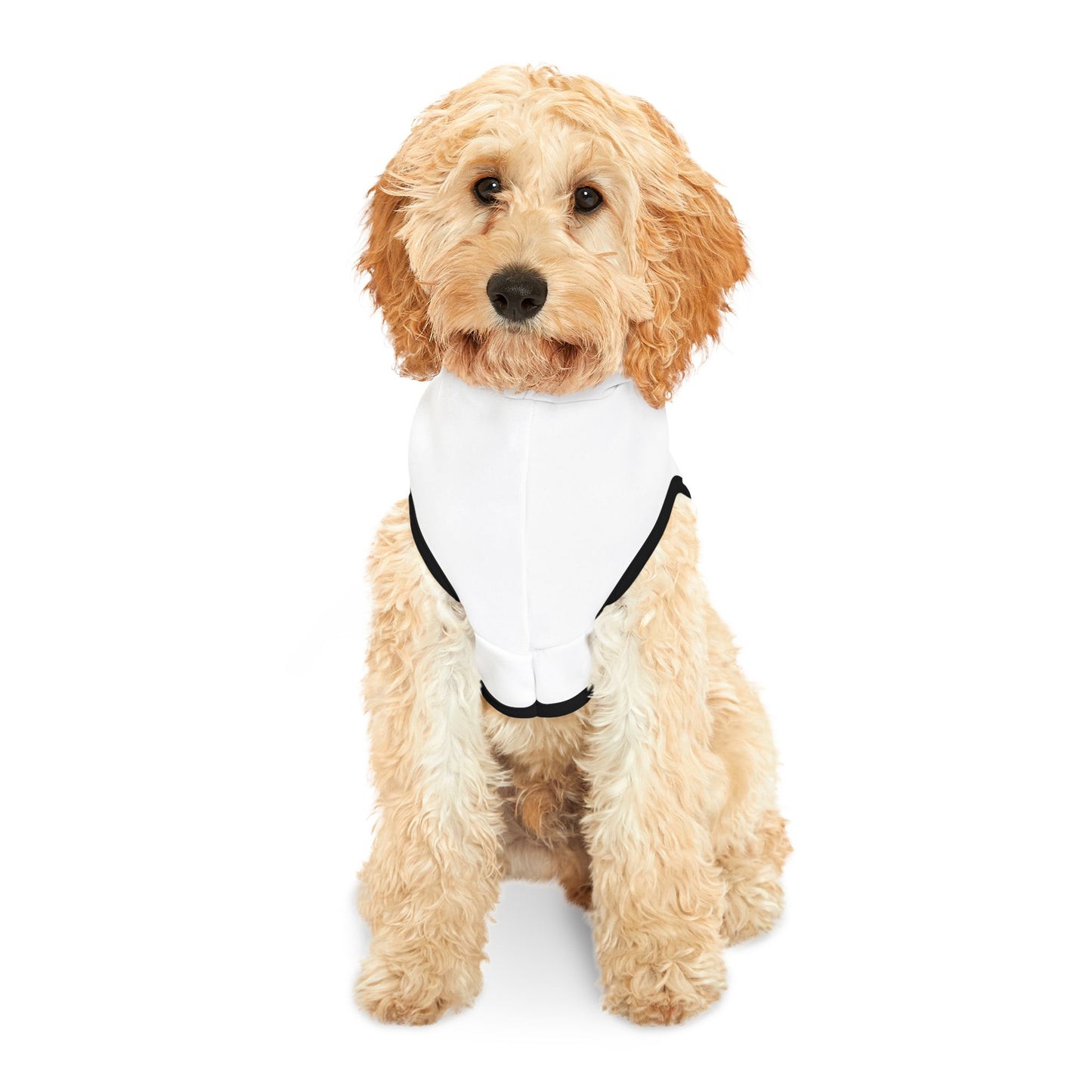 Pet Hoodie — "Black Heart Clothing Paw Collection" Printed Pet Hoodie
