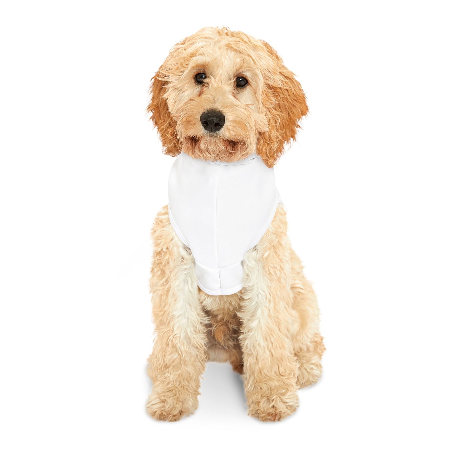 Pet Hoodie — "Black Heart Clothing Paw Collection" Printed Pet Hoodie